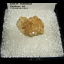 Minerals Specimen: Hessonite Garnet (Grossular) from Jeffrey Quarry, Asbestos, Quebec, Canada Minerals Specimen: Hessonite Garnet (Grossular) from Jeffrey Quarry, Asbestos, Quebec, Canada