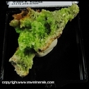 Minerals Specimen: Pyromorphite from Daoping Mine, Gongcheng Co., Guilin Prefecture, Guangxi Zhuang AR., China Minerals Specimen: Pyromorphite from Daoping Mine, Gongcheng Co., Guilin Prefecture, Guangxi Zhuang AR., China