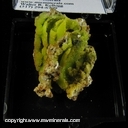 Minerals Specimen: Pyromorphite from Daoping Mine, Gongcheng Co., Guilin Prefecture, Guangxi Zhuang AR., China Minerals Specimen: Pyromorphite from Daoping Mine, Gongcheng Co., Guilin Prefecture, Guangxi Zhuang AR., China