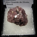 Minerals Specimen: Lepidolite from Alto da Cabeca Mine, Parelhas, Rio Grande do Norte, Brazil Minerals Specimen: Lepidolite from Alto da Cabeca Mine, Parelhas, Rio Grande do Norte, Brazil