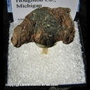 Minerals Specimen: Copper/Silver Halfbreed from Houghton County, Michigan Minerals Specimen: Copper/Silver Halfbreed from Houghton County, Michigan