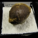 Minerals Specimen: Phosphorite from Harz, Lower Saxony, Germany Minerals Specimen: Phosphorite from Harz, Lower Saxony, Germany
