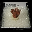Mineral Specimen: Selenite from Valdarno, Florence Province, Tuscany, Italy Mineral Specimen: Selenite from Valdarno, Florence Province, Tuscany, Italy