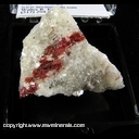 Minerals Specimen: Gillespite from El Rosario, Mun. den Ensenada, Baja California Norte, Mexico Minerals Specimen: Gillespite from El Rosario, Mun. den Ensenada, Baja California Norte, Mexico