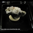 Minerals Specimen: Xanthoconite from Gotteshre Mine, Urberg, St. Blasien, Black Forest, Baden-Wurttemberg, Germany Minerals Specimen: Xanthoconite from Gotteshre Mine, Urberg, St. Blasien, Black Forest, Baden-Wurttemberg, Germany