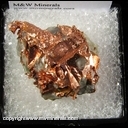Minerals Specimen: Copper with Casts, Quartz from Caledonia Mine, Ontonagon Co., Michigan Minerals Specimen: Copper with Casts, Quartz from Caledonia Mine, Ontonagon Co., Michigan