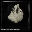 Minerals Specimen: Cryolite, Siderite from Ivigtut, Arsuk Firth, Kitaa Province, Greenland Minerals Specimen: Cryolite, Siderite from Ivigtut, Arsuk Firth, Kitaa Province, Greenland