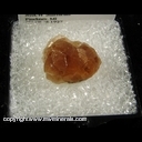Minerals Specimen: Grossular Garnet variety: Hessonite from Jeffrey Quarry, Asbestos, Quebec, Canada Minerals Specimen: Grossular Garnet variety: Hessonite from Jeffrey Quarry, Asbestos, Quebec, Canada