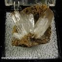 Minerals Specimen: Aragonite from Jeffrey Quarry, Parma, Jackson Co., Michigan</br>Excellent Fluorescence and Phosphorescence</br>very large crystals for the location Minerals Specimen: Aragonite from Jeffrey Quarry, Parma, Jackson Co., Michigan</br>Excellent Fluorescence and Phosphorescence</br>very large crystals for the location