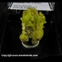 Minerals Specimen: Pyromorphite from Daoping Mine, Gongcheng Co., Guilin Prefecture, Guangxi Zhuang AR., China Minerals Specimen: Pyromorphite from Daoping Mine, Gongcheng Co., Guilin Prefecture, Guangxi Zhuang AR., China