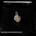 Minerals Specimen: Pink Topaz on Quartz from Brumado, Bahia, Brazil Minerals Specimen: Pink Topaz on Quartz from Brumado, Bahia, Brazil