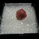 Minerals Specimen: Raspberry Garnet (Grossular) from Sierra de Cruces, Coahula, Mexico Minerals Specimen: Raspberry Garnet (Grossular) from Sierra de Cruces, Coahula, Mexico