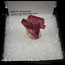 Minerals Specimen: Tourmaline from Jonas Mine, Conselheiro Pena, Doce Valley, Minas Gerais, Brazil Minerals Specimen: Tourmaline from Jonas Mine, Conselheiro Pena, Doce Valley, Minas Gerais, Brazil