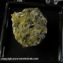 Minerals Specimen: Filiform Pyrite from Yaquina Head Quarry, Agate Beach, Lincoln Co., Oregon Minerals Specimen: Filiform Pyrite from Yaquina Head Quarry, Agate Beach, Lincoln Co., Oregon
