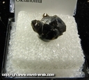 Mineral Specimen: Sphalerite from Picher, Cherokee Co., Oklahoma