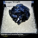 Minerals Specimen: Azurite from New Cornelia Mine, Ajo, Pima County, Arizona Collected by Roger Wright Minerals Specimen: Azurite from New Cornelia Mine, Ajo, Pima County, Arizona Collected by Roger Wright