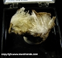 Minerals Specimen: Aragonite from Jeffrey Quarry, Parma, Jackson Co., Michigan</br>Good Fluorescence and Phosphorescence Minerals Specimen: Aragonite from Jeffrey Quarry, Parma, Jackson Co., Michigan</br>Good Fluorescence and Phosphorescence
