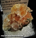 Minerals Specimen: Selenite on Red Gypsum from Michigan Cold Storage, Wyoming, Michigan pre-1975 Minerals Specimen: Selenite on Red Gypsum from Michigan Cold Storage, Wyoming, Michigan pre-1975