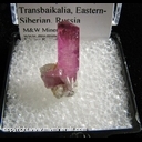 Minerals Specimen: Tourmaline from Malkhan, Chitinskaya Oblast', Transbaikalia, Eastern Siberia Region, Russia Minerals Specimen: Tourmaline from Malkhan, Chitinskaya Oblast', Transbaikalia, Eastern Siberia Region, Russia
