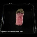 Minerals Specimen: Rhodochrosite Stalactite from Capillitas Mine, Andalgala Dept., Catamarca, Argentina Minerals Specimen: Rhodochrosite Stalactite from Capillitas Mine, Andalgala Dept., Catamarca, Argentina