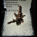 Minerals Specimen: Rutile - Sagenite Reticulated Twins from Diamantina, Minas Gerais, Brazil Minerals Specimen: Rutile - Sagenite Reticulated Twins from Diamantina, Minas Gerais, Brazil