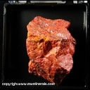 Mineral Specimen: Paakkoneite XLs on Realgar from Matra Mine, Matra, Corte, Corsica, France Mineral Specimen: Paakkoneite XLs on Realgar from Matra Mine, Matra, Corte, Corsica, France