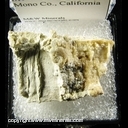 Minerals Specimen: Lunebergite XLs from Paoha Island, Mono Lake, California Minerals Specimen: Lunebergite XLs from Paoha Island, Mono Lake, California