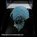 Minerals Specimen: Shattuckite from Kaokoveld Plateau, Namibia Minerals Specimen: Shattuckite from Kaokoveld Plateau, Namibia
