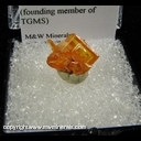 Minerals Specimen: Wulfenie from Old Yuma Mine, Tucson Mts., Pima Co., Arizona R. Fordham 1960s(founding member of TGMS) Minerals Specimen: Wulfenie from Old Yuma Mine, Tucson Mts., Pima Co., Arizona R. Fordham 1960s(founding member of TGMS)
