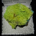 Minerals Specimen: Mottramite variety: Psittacinite, Chrysocolla from Reward Mine, Inyo Co., California Minerals Specimen: Mottramite variety: Psittacinite, Chrysocolla from Reward Mine, Inyo Co., California
