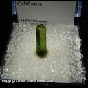 Minerals Specimen: Tourmaline from Stewart Mine, San Diego Co., California Al Ordway 1970 Minerals Specimen: Tourmaline from Stewart Mine, San Diego Co., California Al Ordway 1970