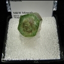 Minerals Specimen: Watermelon Tourmaline from Newrey, Oxford Co., Maine Minerals Specimen: Watermelon Tourmaline from Newrey, Oxford Co., Maine