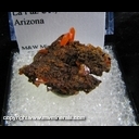 Minerals Specimen: Wulfenite from Red Cloud Mine, La Paz Co., Arizona Minerals Specimen: Wulfenite from Red Cloud Mine, La Paz Co., Arizona