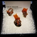 Minerals Specimen: Wulfenite from Red Cloud Mine, La Paz Co., Arizona Minerals Specimen: Wulfenite from Red Cloud Mine, La Paz Co., Arizona
