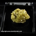 Minerals Specimen: Adamite from Mina Ojuela, Mapimi, Durango, Mexico Minerals Specimen: Adamite from Mina Ojuela, Mapimi, Durango, Mexico