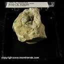 Minerals Specimen: Millerite in Quartz Geode from Wallace Stone Quarry, Bayport, Huron Co., Michigan Bob Frost 1986 Minerals Specimen: Millerite in Quartz Geode from Wallace Stone Quarry, Bayport, Huron Co., Michigan Bob Frost 1986