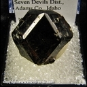 Minerals Specimen: Andradite Garnet from South Peacock Mine, Cuprum, Seven Devils District, Adams Co., Idaho Minerals Specimen: Andradite Garnet from South Peacock Mine, Cuprum, Seven Devils District, Adams Co., Idaho