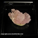 Minerals Specimen: Rose Quartz crystas from Pittora Claim, Galileia, Doce valley, Minas Gerais, Brazil Minerals Specimen: Rose Quartz crystas from Pittora Claim, Galileia, Doce valley, Minas Gerais, Brazil