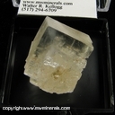 Minerals Specimen: Halite from Evaporative pool, Detroit Salt Mine, Detroit, Wayne Co., Michigan Minerals Specimen: Halite from Evaporative pool, Detroit Salt Mine, Detroit, Wayne Co., Michigan