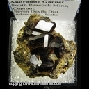 Minerals Specimen: Andradite Garnet from South Peacock Mine, Cuprum, Seven Devils District, Adams Co., Idaho Minerals Specimen: Andradite Garnet from South Peacock Mine, Cuprum, Seven Devils District, Adams Co., Idaho