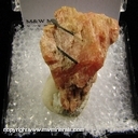Mineral Specimen: Aegerine in Serandinte from Mont. Ste. Hilaire, Quebec, Canada Mineral Specimen: Aegerine in Serandinte from Mont. Ste. Hilaire, Quebec, Canada