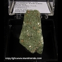 Minerals Specimen: Omphacite, Andradite Garnet from near Valley Ford, Sonoma Co., California Minerals Specimen: Omphacite, Andradite Garnet from near Valley Ford, Sonoma Co., California
