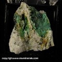 Minerals Specimen: Turquoise from Vielsalm, Stavelot Massif, Luxembourg Province, Belgium Minerals Specimen: Turquoise from Vielsalm, Stavelot Massif, Luxembourg Province, Belgium