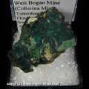 Minerals Specimen: Pseudomalachite from West Bogan Mine (Collerina Mine), Tottenham district, Flinders Co., New South Wales, Australia Minerals Specimen: Pseudomalachite from West Bogan Mine (Collerina Mine), Tottenham district, Flinders Co., New South Wales, Australia