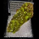 Minerals Specimen: Pyromorphite from Daoping Mine, Gongcheng Co., Guilin Prefecture, Guangxi Zhuang AR., China Minerals Specimen: Pyromorphite from Daoping Mine, Gongcheng Co., Guilin Prefecture, Guangxi Zhuang AR., China