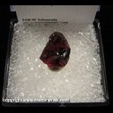 Minerals Specimen: Tourmaline 5.5 ct from Alto Ligonha District, Zambezia Province, Mozambique Minerals Specimen: Tourmaline 5.5 ct from Alto Ligonha District, Zambezia Province, Mozambique