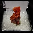 Minerals Specimen: Vanadinite from Pure Potential Mine, Silver District, Trigo Mts., La Paz Co., Arizona Minerals Specimen: Vanadinite from Pure Potential Mine, Silver District, Trigo Mts., La Paz Co., Arizona