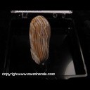 Mineral Specimen: Lake Superior Agate from Brockway Mountain near Eagle Harbor, Keweenaw Co., Michigan Mineral Specimen: Lake Superior Agate from Brockway Mountain near Eagle Harbor, Keweenaw Co., Michigan