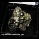 Minerals Specimen: Pyrite Diploid/Tetraploid Crystals from Duff Quarry, Huntsville, Ohio J. Medici Minerals Specimen: Pyrite Diploid/Tetraploid Crystals from Duff Quarry, Huntsville, Ohio J. Medici