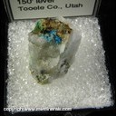 Minerals Specimen: Connellite from Gold Hill Mine, 150 foot level, Toole Co., Utah Minerals Specimen: Connellite from Gold Hill Mine, 150 foot level, Toole Co., Utah